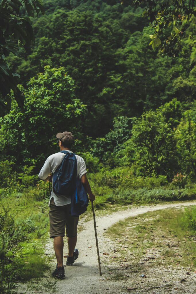 Hiker with backpack explores lush forest path in Nepal. Perfect for travel and adventure themes.