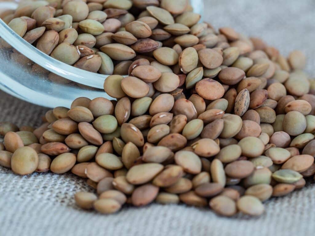 lentil, foodstuff, beige, brown, green, dry, dried, cook, food, diet, healthy, health, foodstuffs, natural, detail, bowl, offer, structure, nature, a whole, color, lentil, lentil, lentil, lentil, lentil